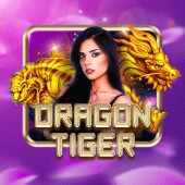 Dragon Tiger on dailyjili live casino