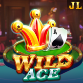 Wild Ace slot on dailyjili